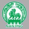 南京队